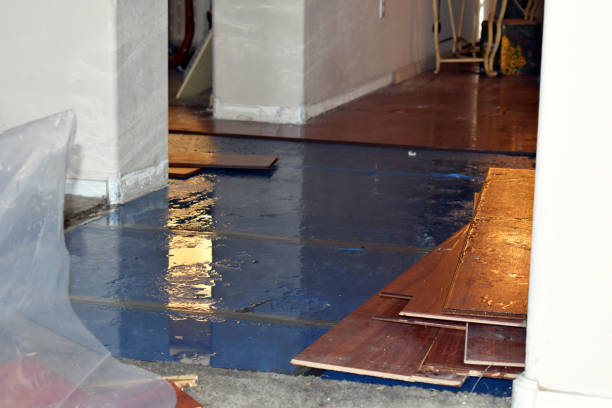 Professional Basement Water Removal technician working in Belmont, NH